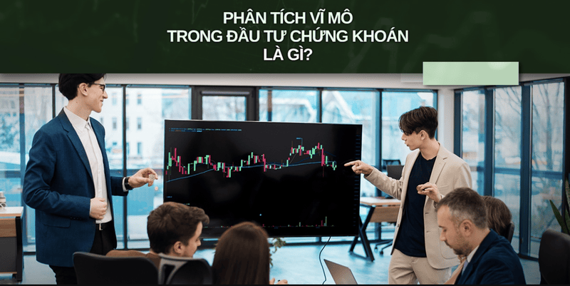Phân tích vĩ mô là gì